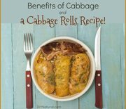 Thumb_cabbage-rolls-recipe-benefits-660x595