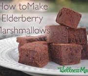 Thumb_how-to-make-elderberry-marshmallows