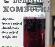 Thumb_the-benefits-of-kombucha-digestion-immune-support-detoxification-weightloss