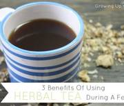 Thumb_herbal-tea-for-fevers